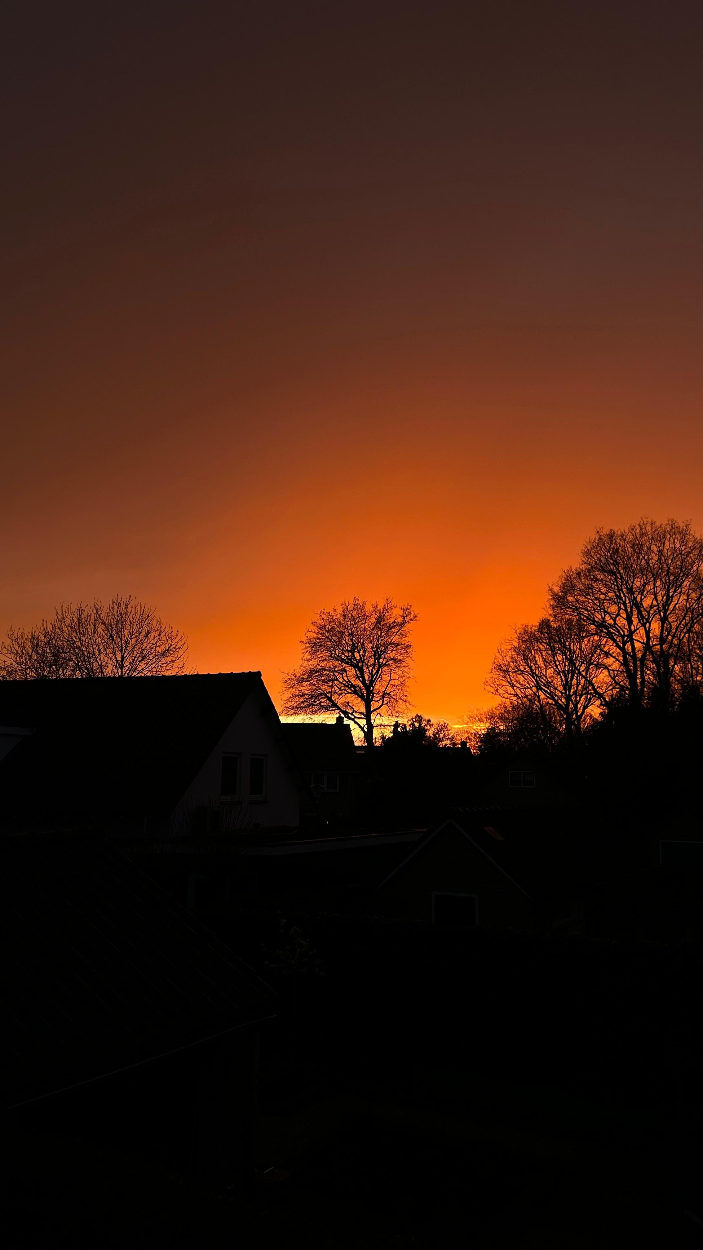 Feloranje avondlucht boven donkere huizen en bomen